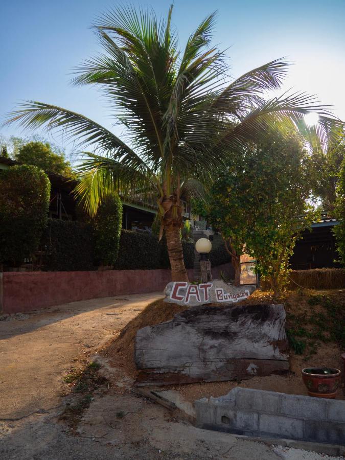 קו לנטה Cat Bungalow מראה חיצוני תמונה