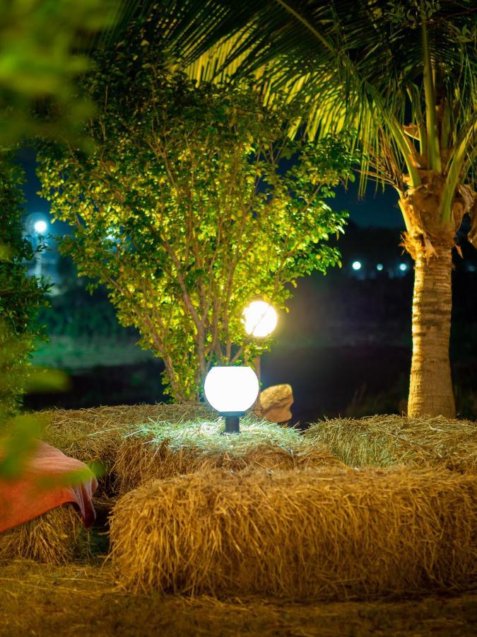 קו לנטה Cat Bungalow מראה חיצוני תמונה