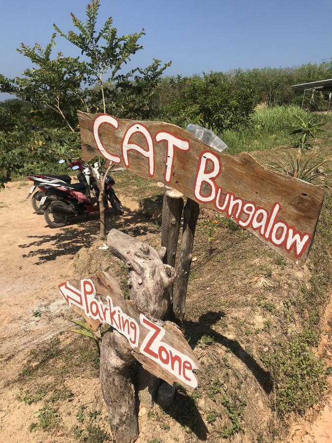 קו לנטה Cat Bungalow מראה חיצוני תמונה